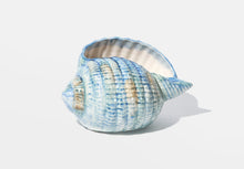 Load image into Gallery viewer, Hand Painted Italian Shell
